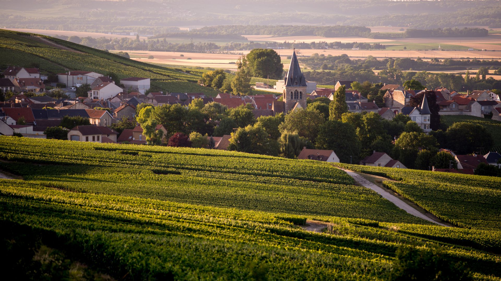 Quoi faire a Reims