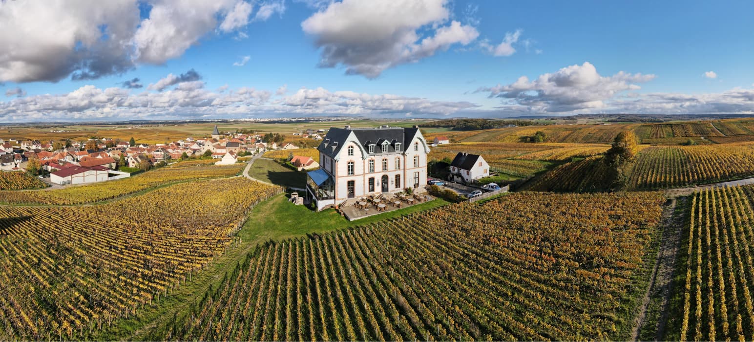 Panorama du Château de Sacy et des vignes environnantes