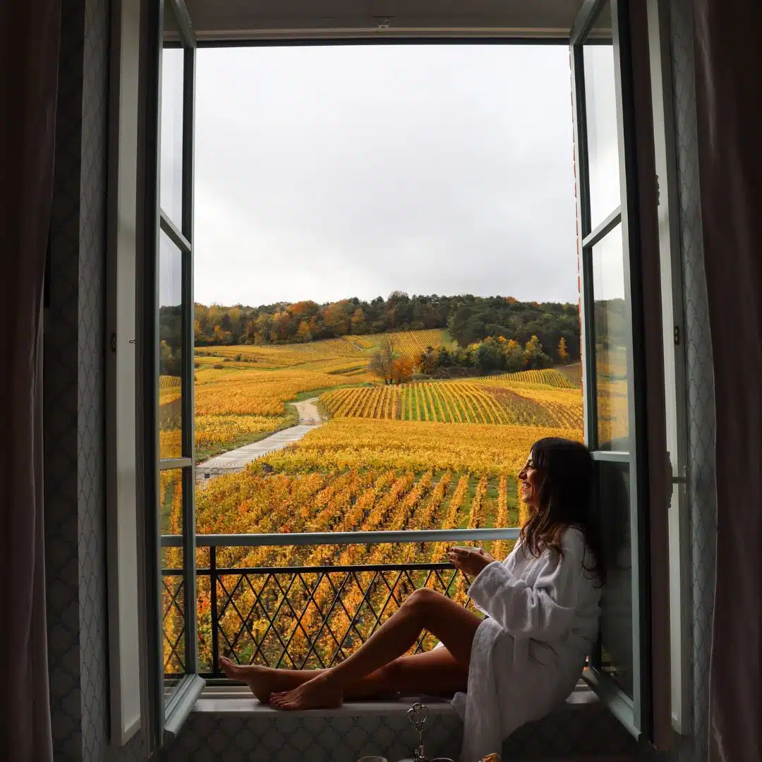 Vue des vignes depuis une suite