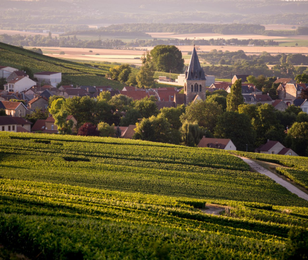 Séjournez dans un hôtel à Reims avec vue sur les vignobles